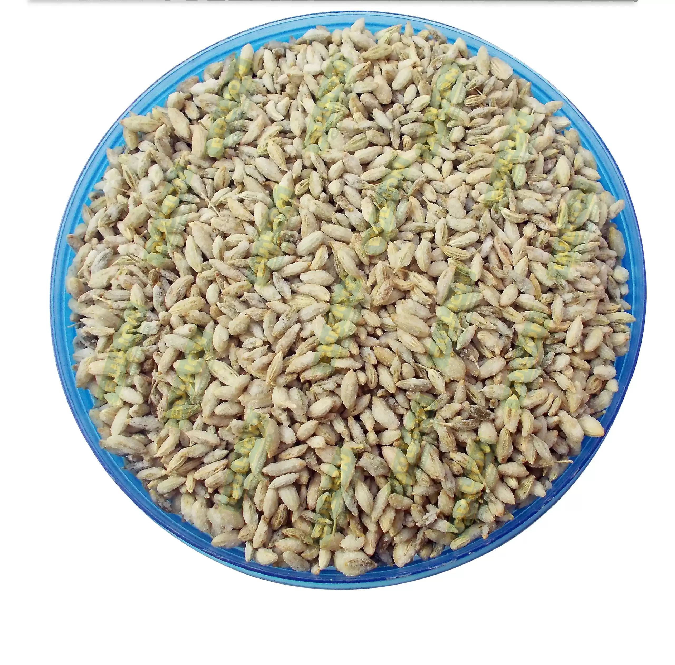 Bullion Royal Fennel Delight - Image 2